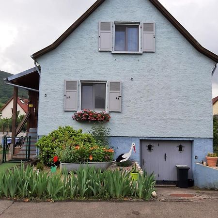 Gite Les Chiwawas D'Alsace Kaysersberg-Vignoble Exteriör bild