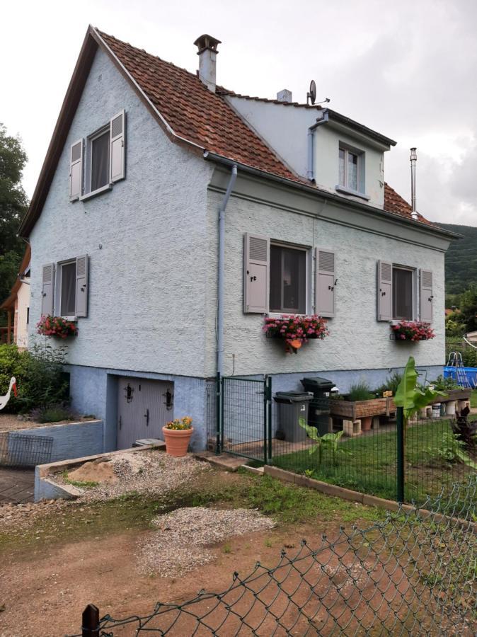 Gite Les Chiwawas D'Alsace Kaysersberg-Vignoble Exteriör bild
