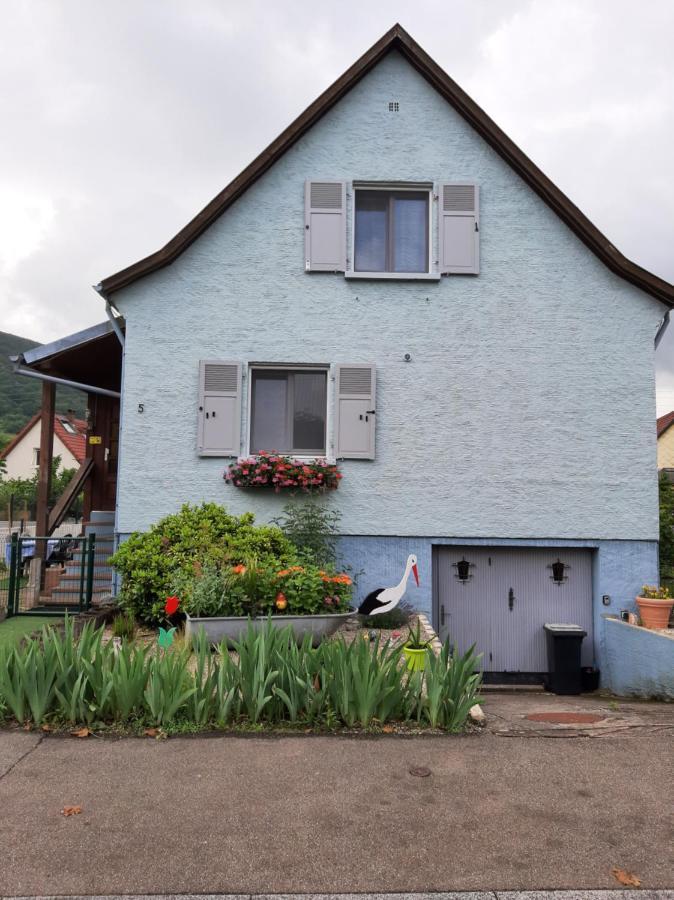 Gite Les Chiwawas D'Alsace Kaysersberg-Vignoble Exteriör bild